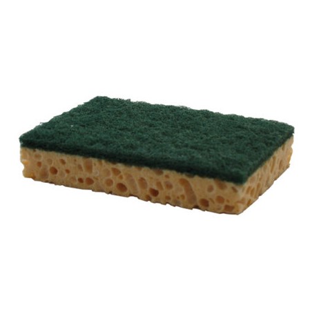 TAMPON SUR EPONGE VEGETALE