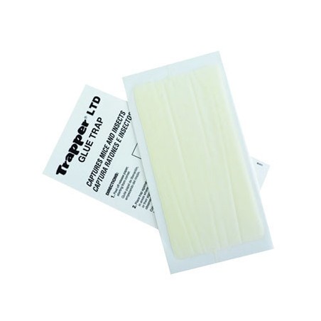 TRAPPER LTD