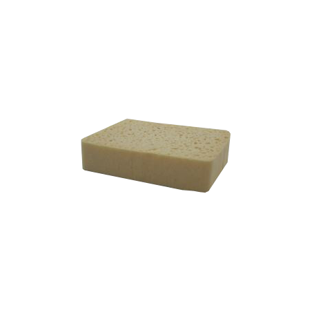EPONGE VEGETALE N°4